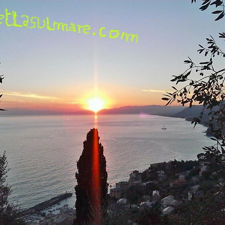 Villetta Sul Mare Camogli Εξωτερικό φωτογραφία