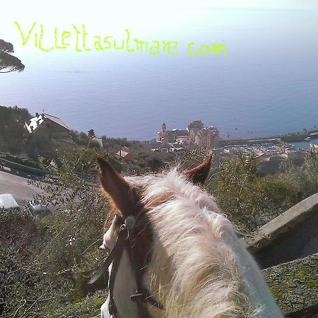 Villetta Sul Mare Camogli Εξωτερικό φωτογραφία