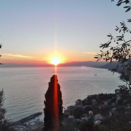 Villetta Sul Mare Camogli Εξωτερικό φωτογραφία