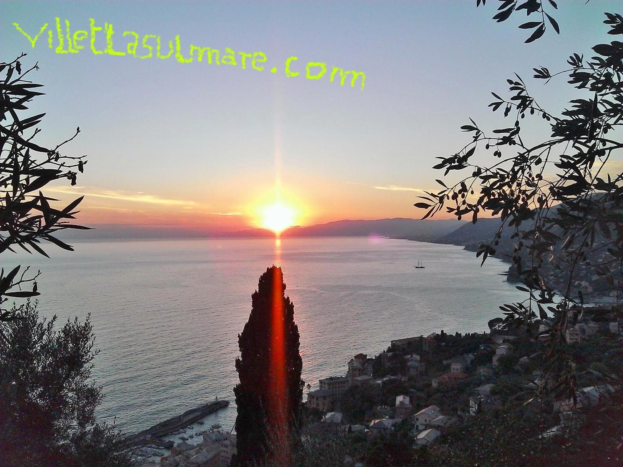 Villetta Sul Mare Camogli Εξωτερικό φωτογραφία