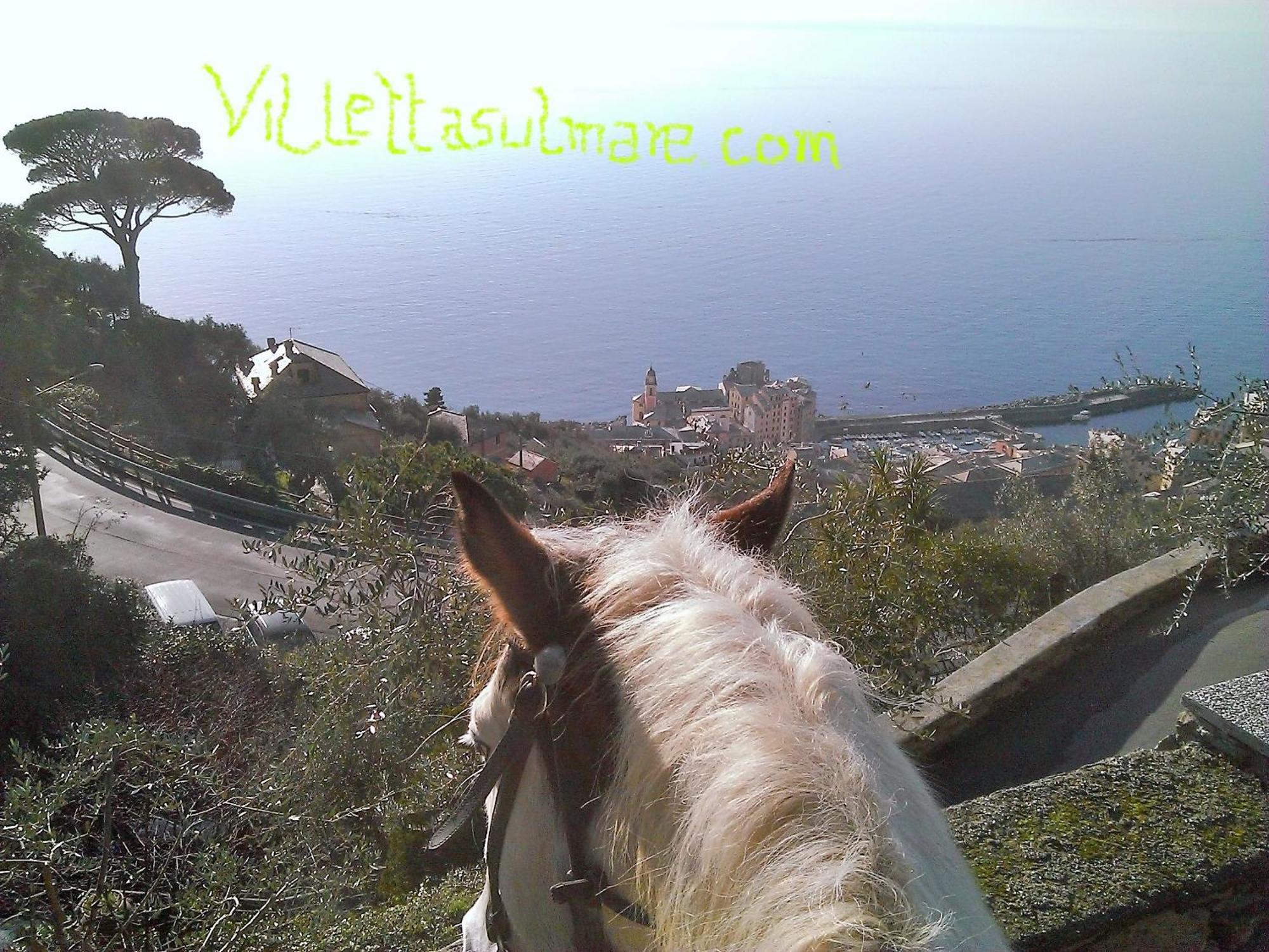 Villetta Sul Mare Camogli Εξωτερικό φωτογραφία