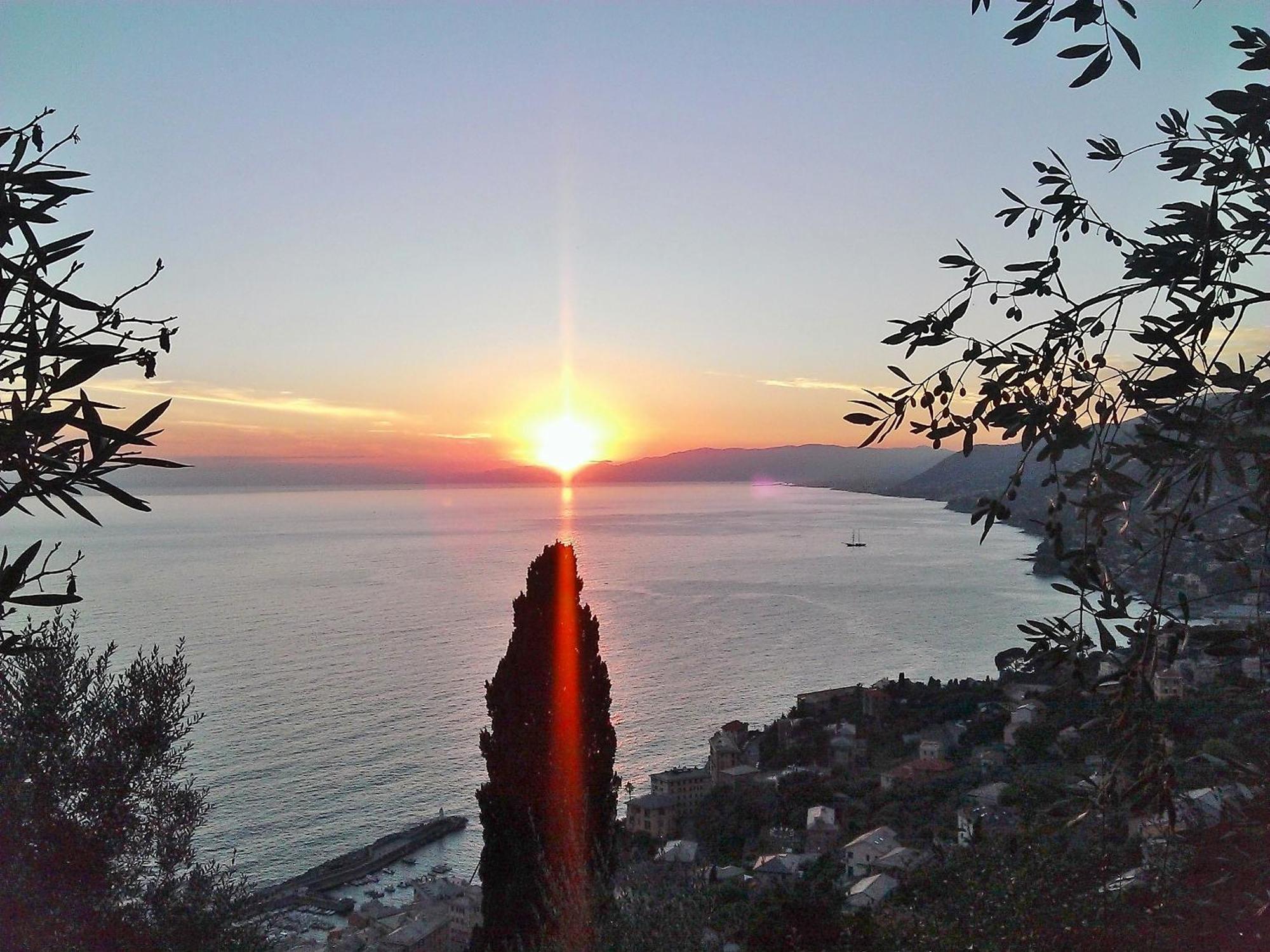 Villetta Sul Mare Camogli Εξωτερικό φωτογραφία